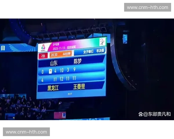 剑指巅峰：2016，那场决定王权的乒坛史诗